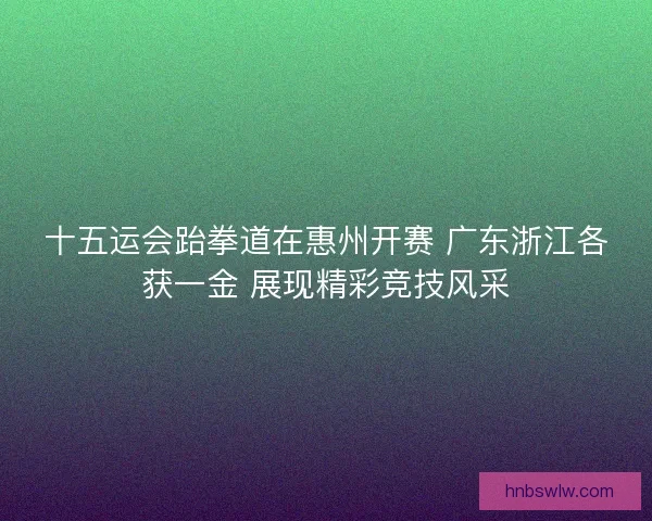 十五运会跆拳道在惠州开赛 广东浙江各获一金 展现精彩竞技风采